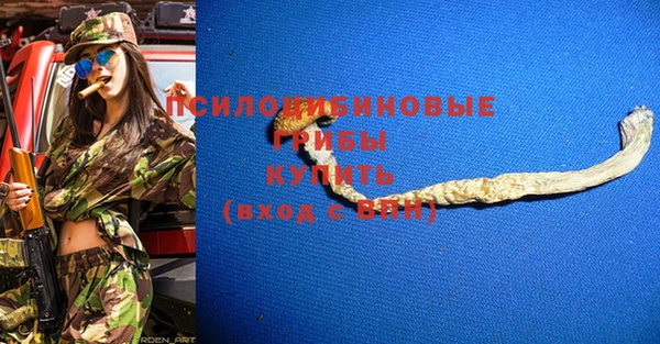 Альфа ПВП Горно-Алтайск