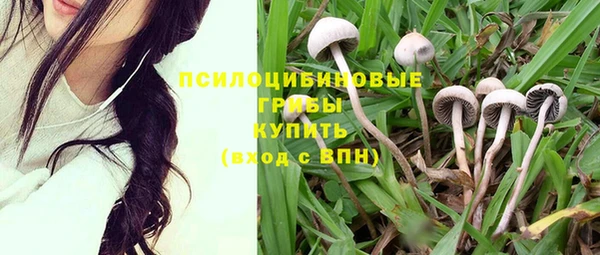 дурь Горняк
